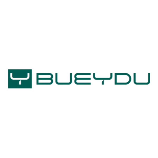 Caso de Éxito en SEO Local - BUEYDU